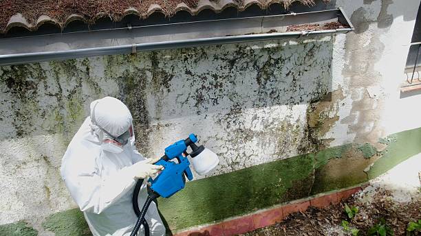 Top rated local Attic Mold Remediation specialists in Mifflin, PA